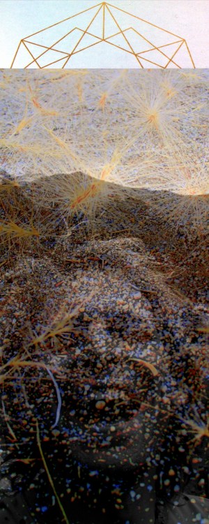 joy stars and aspects